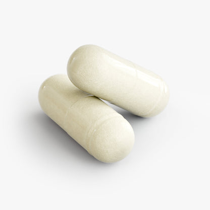 FOUNDATION ENZYME
