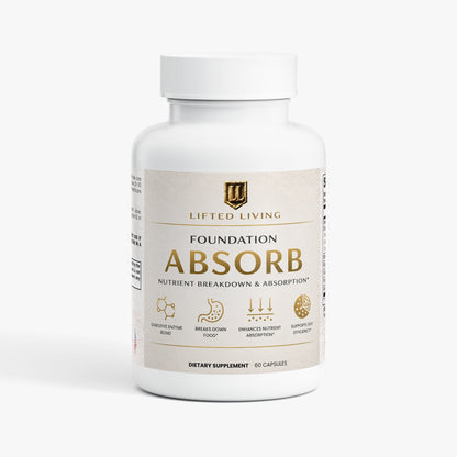 FOUNDATION ABSORB
