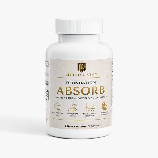 FOUNDATION ABSORB