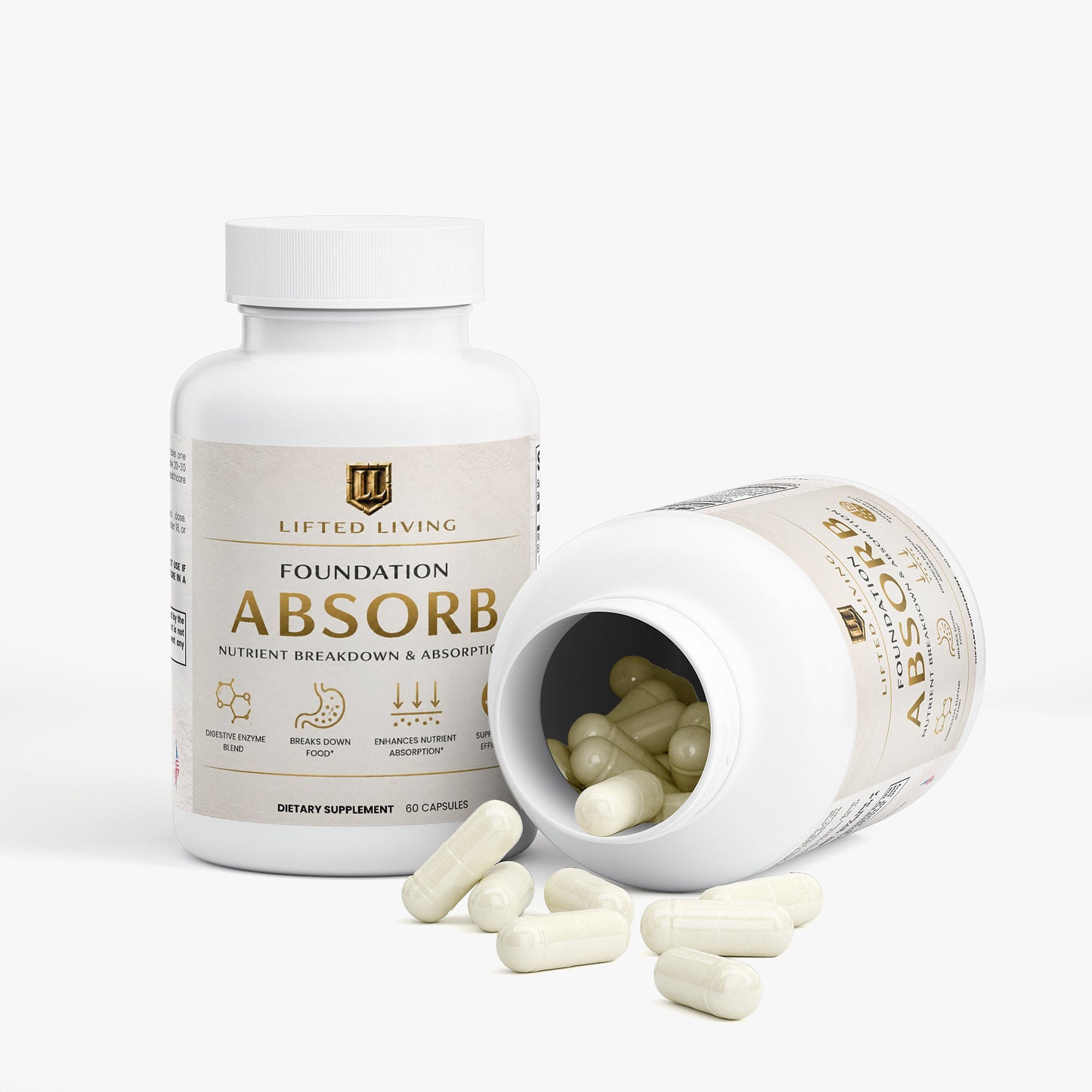 FOUNDATION ABSORB