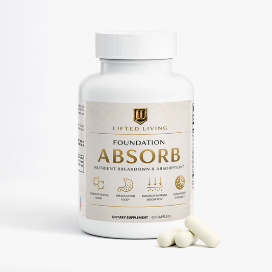 FOUNDATION ABSORB